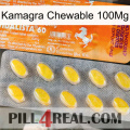 Kamagra Chewable 100Mg new05